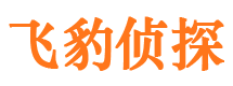 巍山侦探公司